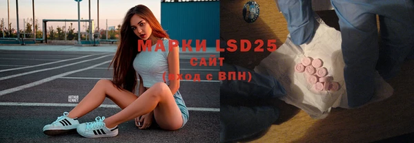 гашик Алзамай