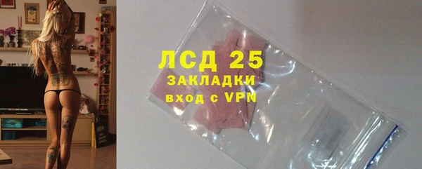 гашик Алзамай