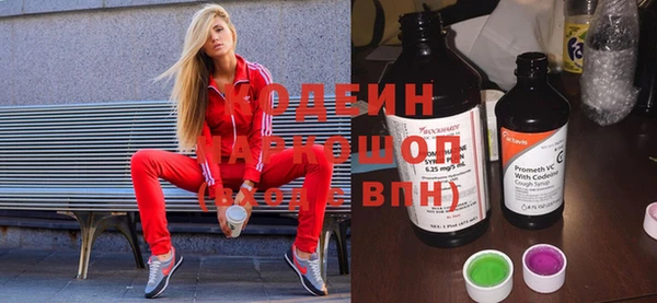 гашик Алзамай