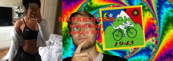 гашик Алзамай