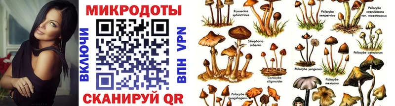 даркнет как зайти  Руза  Псилоцибиновые грибы GOLDEN TEACHER 